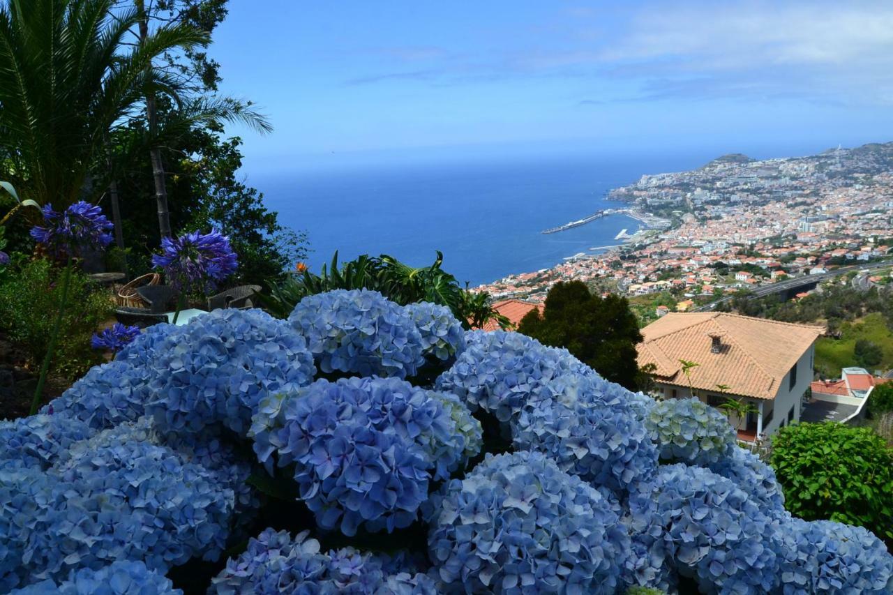 Villa Holiday House 4 You Funchal  Exterior foto